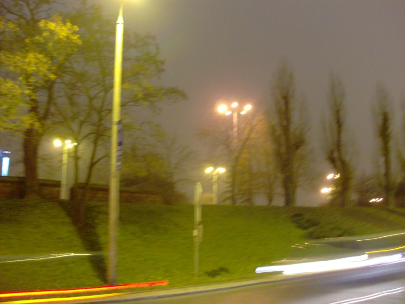 ślimak getyński (800 x 600).jpg
