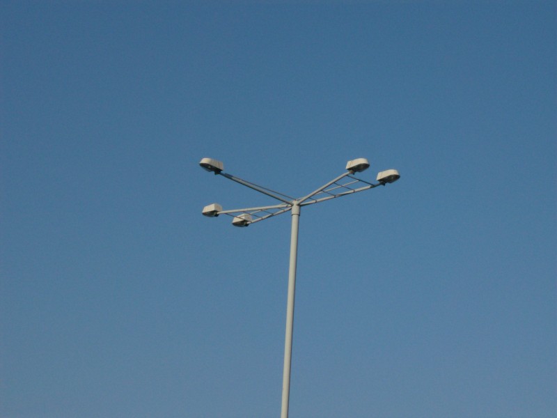 dziwny kwiat (800 x 600).jpg