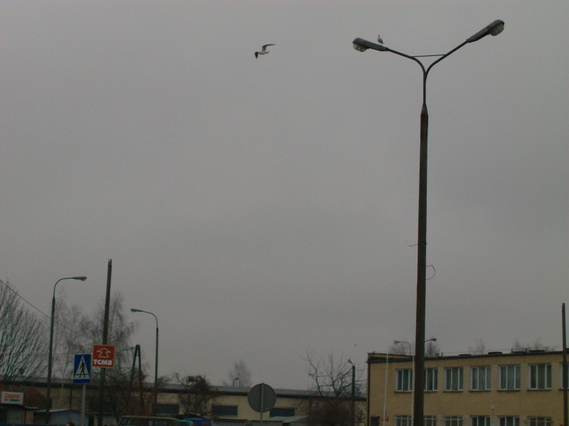 zajezdnia mzk OURW (800 x 600).jpg
