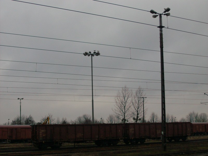 HPIM0983 (800 x 600).jpg
