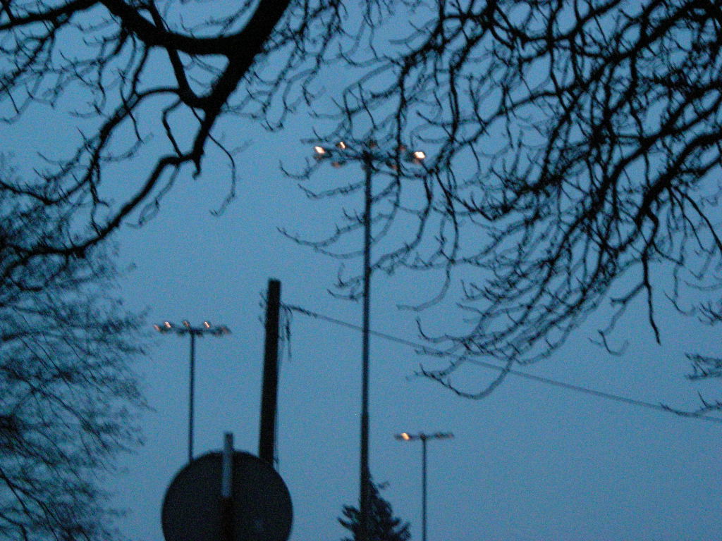 DSCN2580.JPG