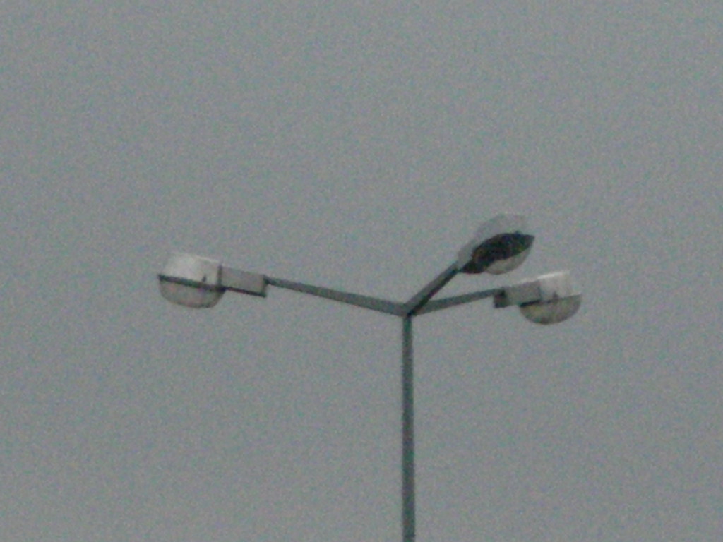 DSCN2548.JPG