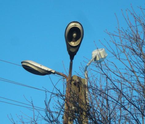 DSCN2720.JPG