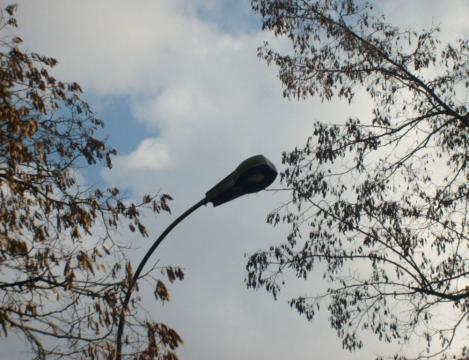 S6300057.JPG