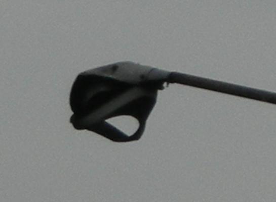 łycha3.JPG