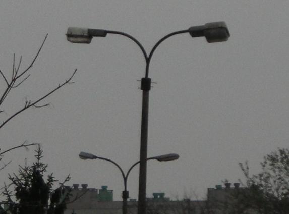 leda i łycha.JPG