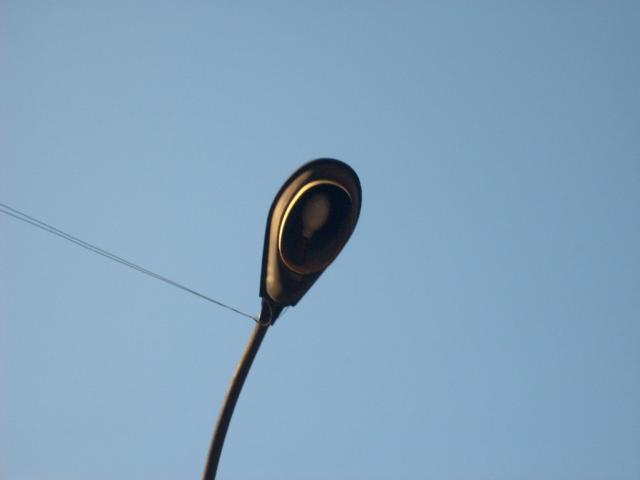 S6300076.JPG