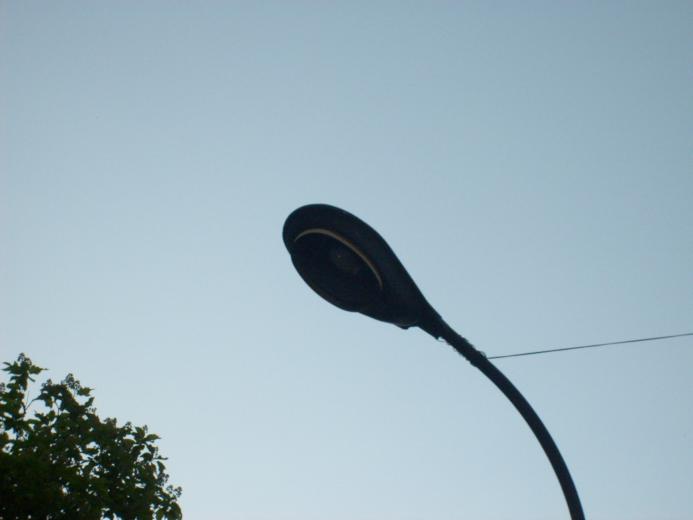 S6300074.JPG