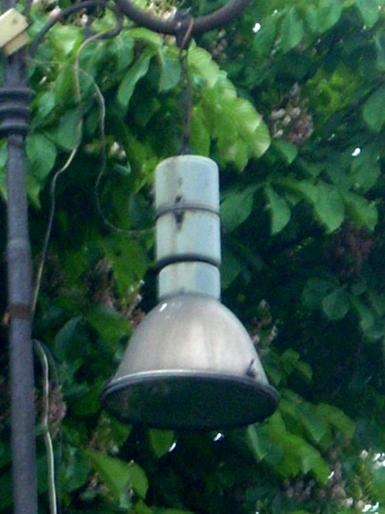 DSCN5485.jpg