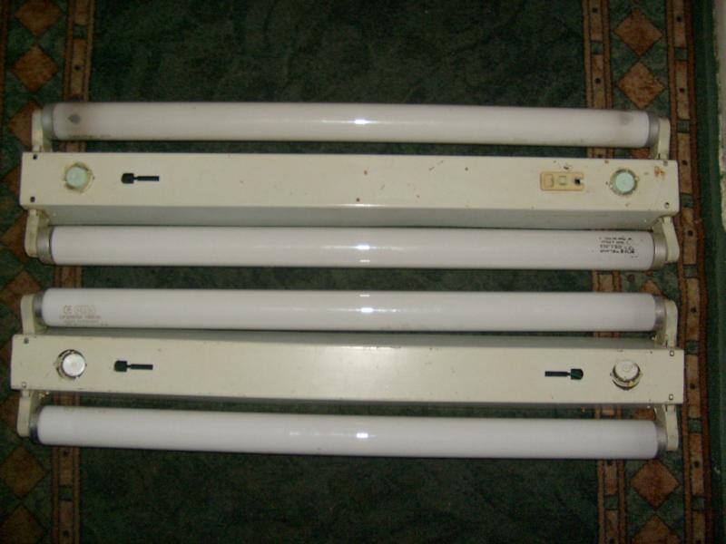 S6300097.JPG
