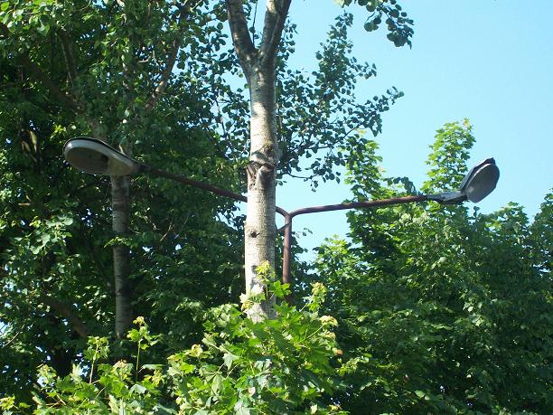 Obraz 018.jpg