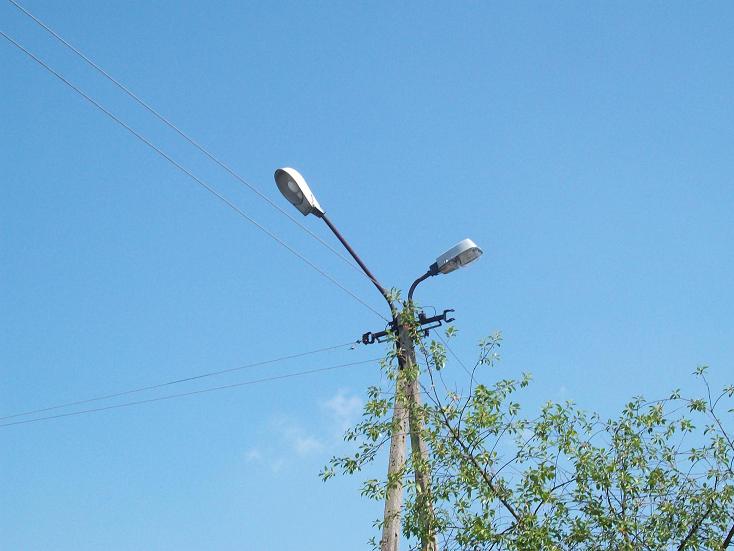100_0091.jpg