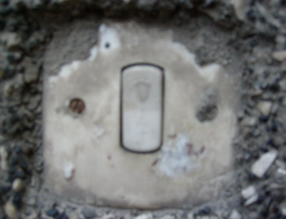 S6300135.JPG