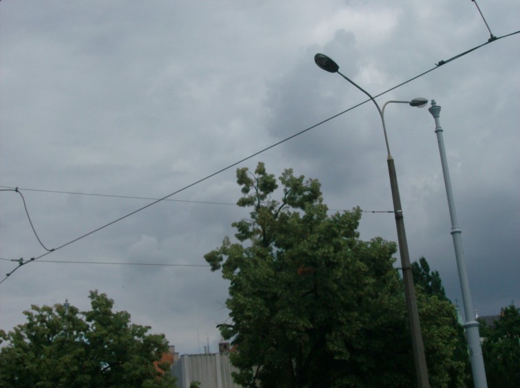 HPIM4953 (755 x 564).jpg