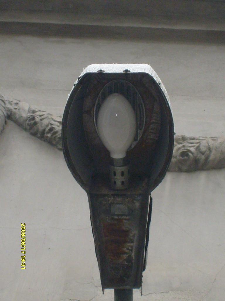 S6300156.JPG