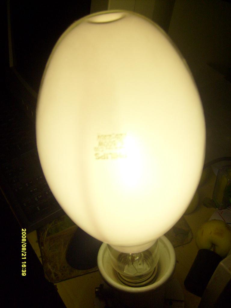 S6300160.JPG