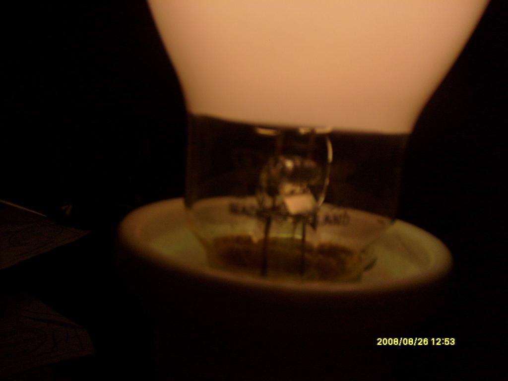 S6300164.JPG