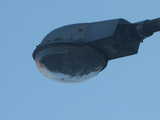 ZFGNXY 260.jpg