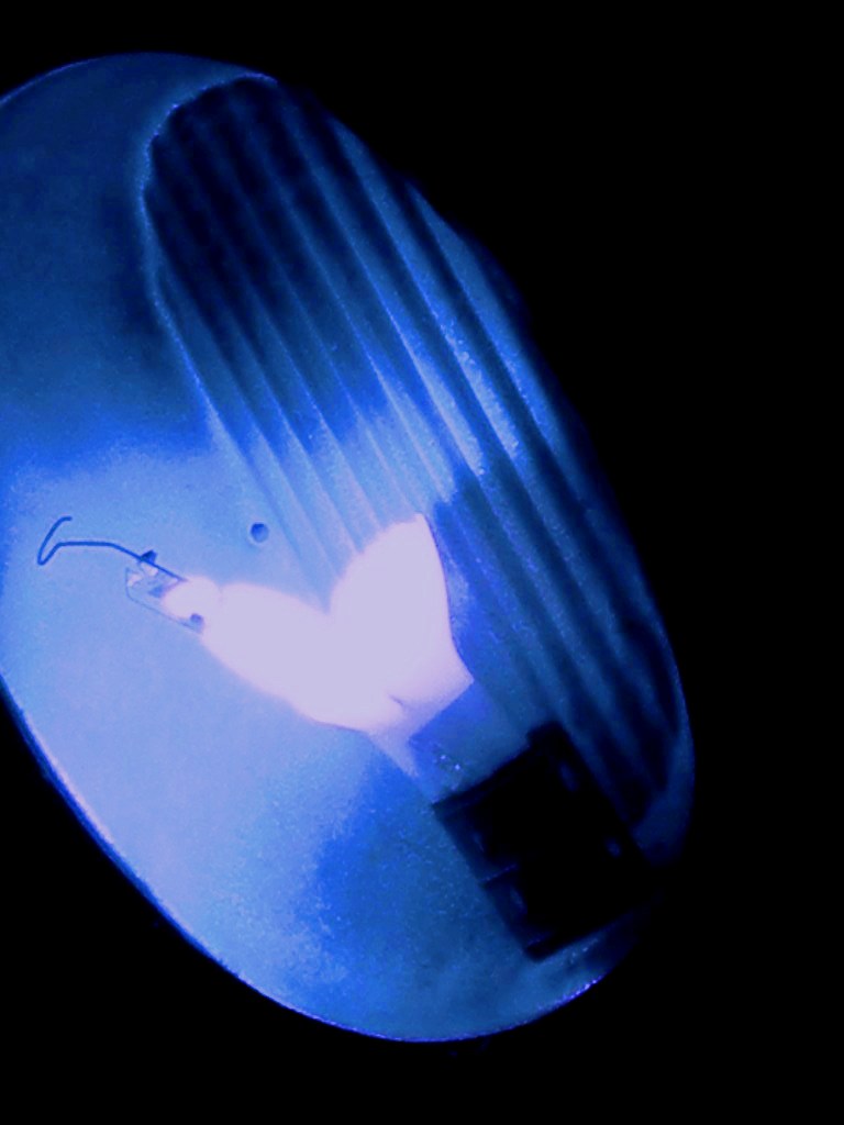DSCN8569.JPG