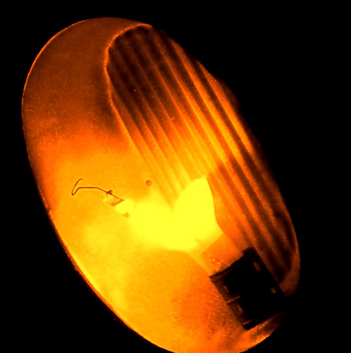 DSCN8567.JPG