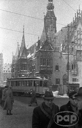 3339_16.jpg