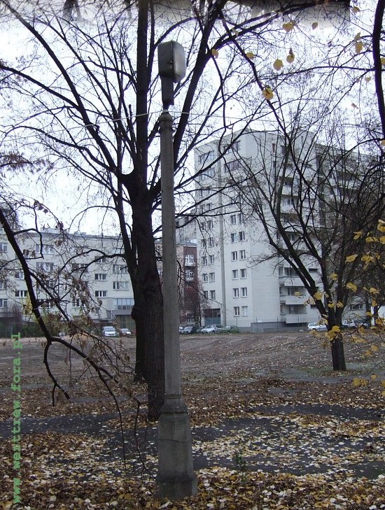 strada pion1.jpg