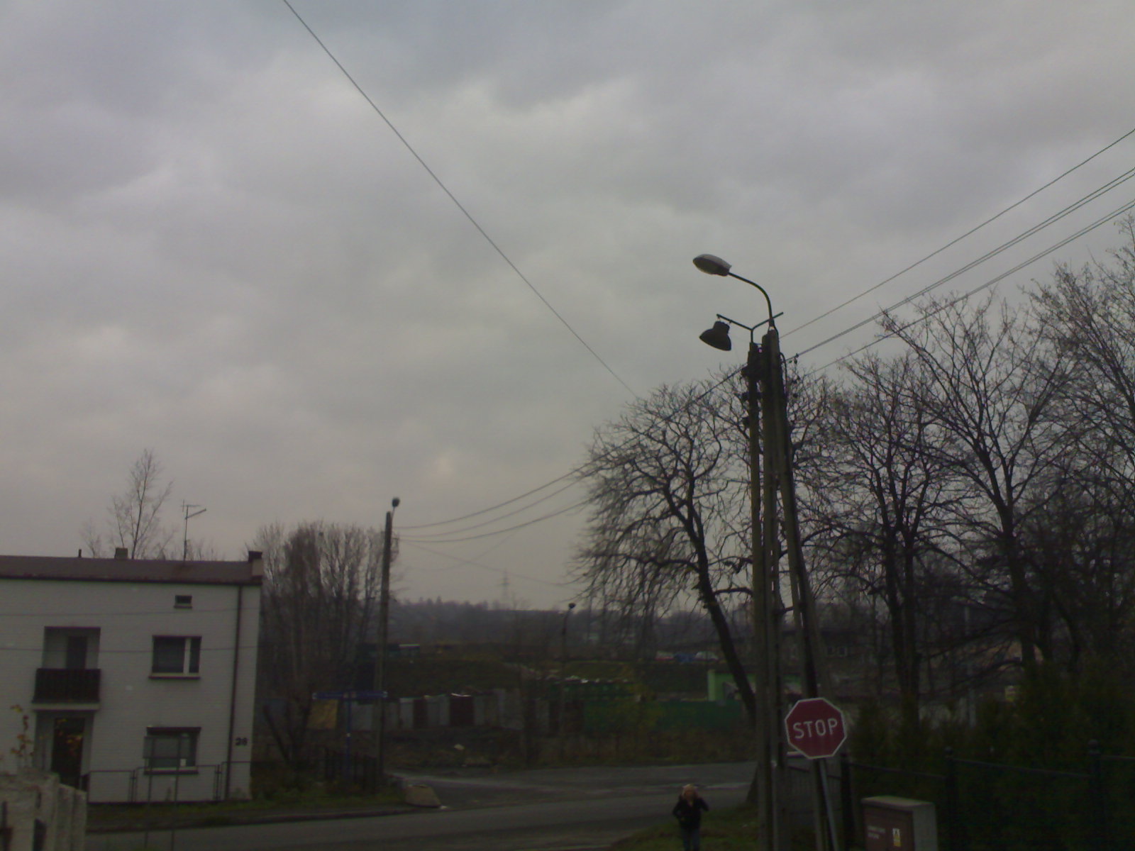20081114842.jpg