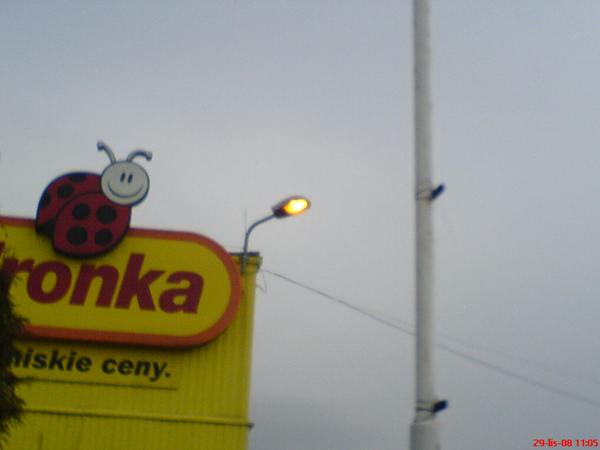 DSC00266.JPG