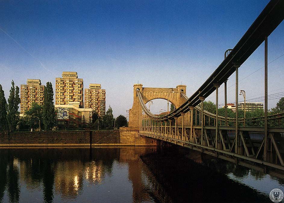 110557.jpg