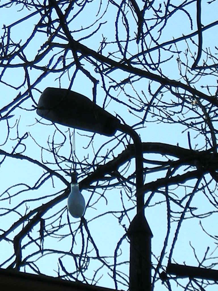 DSCN0519.JPG