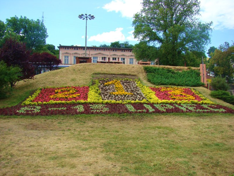 dd6c8f6a9de72645.jpg