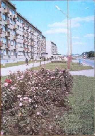 koszal.jpg