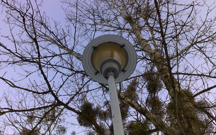 17012009765.jpg