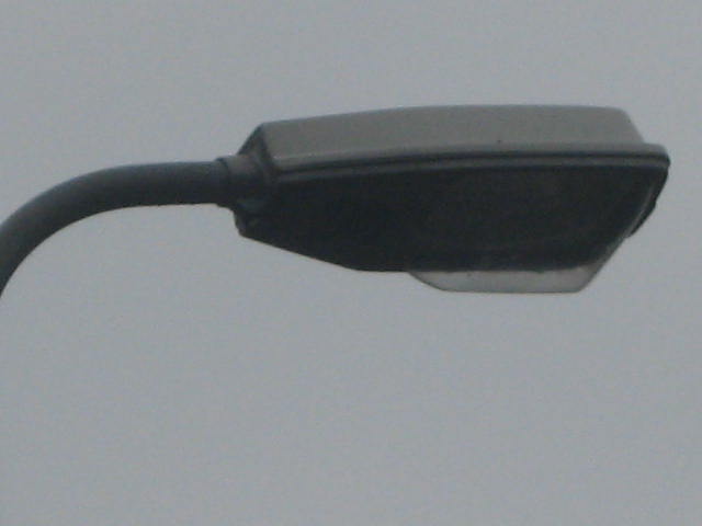 ZFGNXY 224.jpg