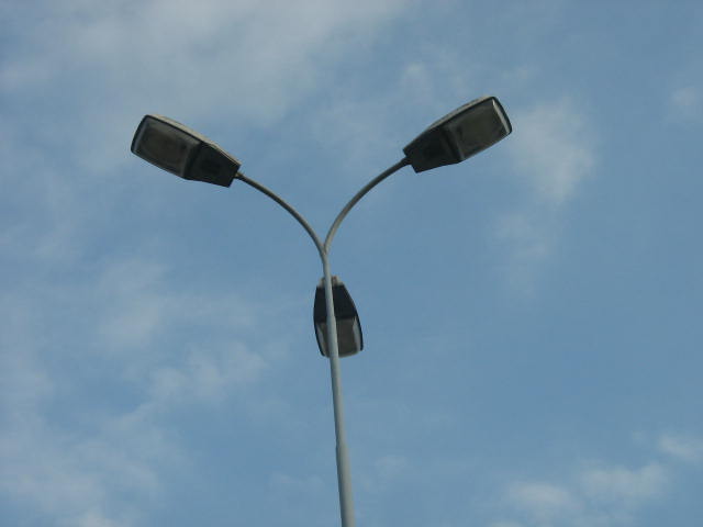 ZFGNXY 270.jpg
