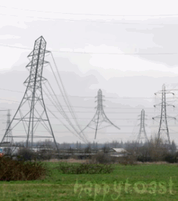 4101_pic12623.gif