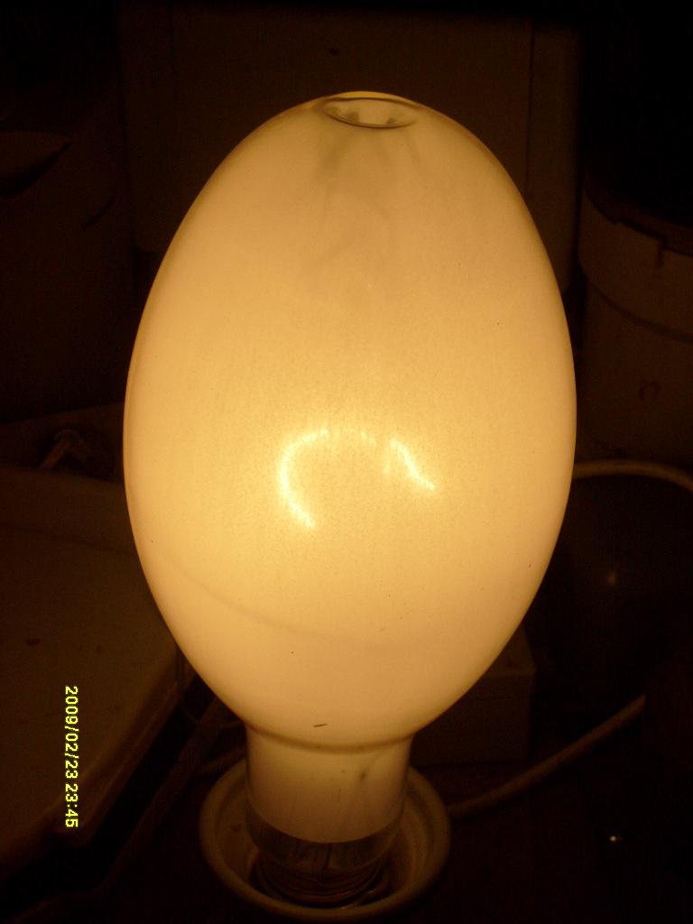 S6300186.JPG