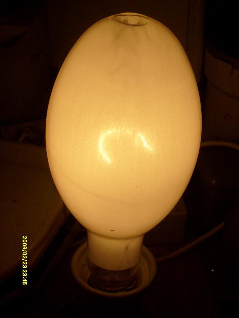 S6300187.JPG