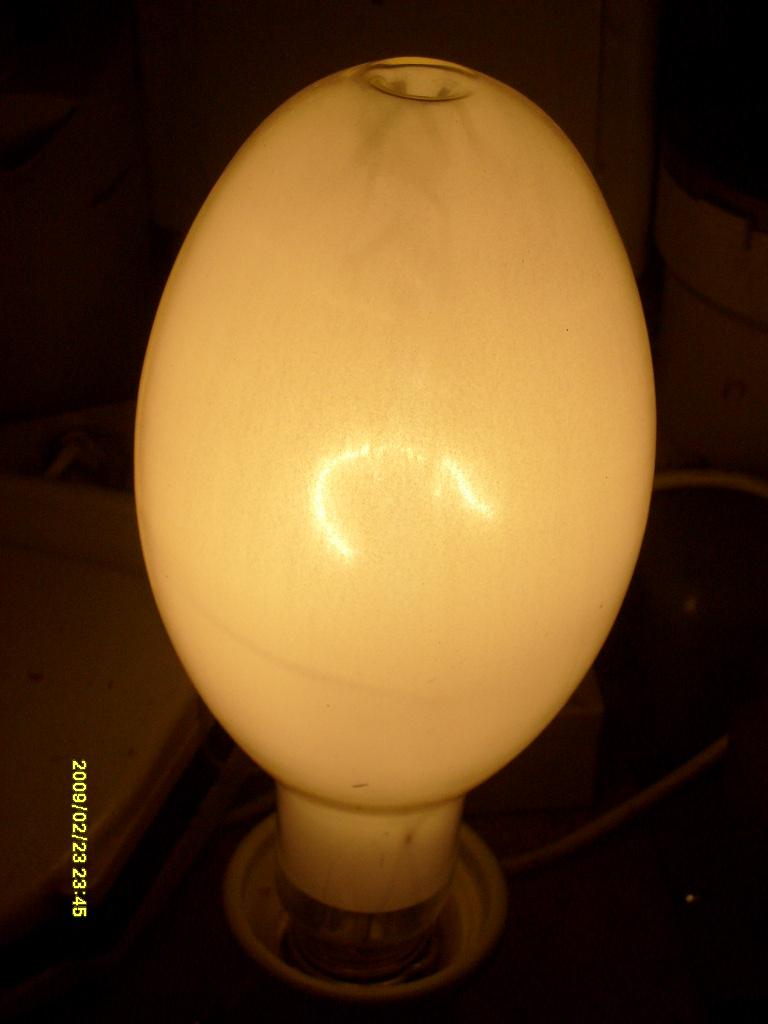 S6300188.JPG