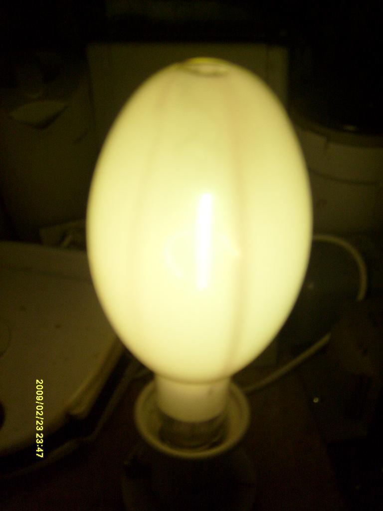 S6300189.JPG