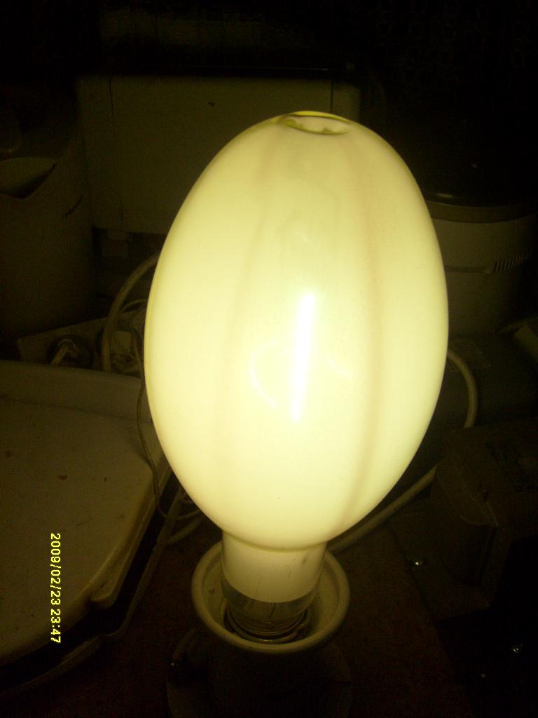 S6300191.JPG