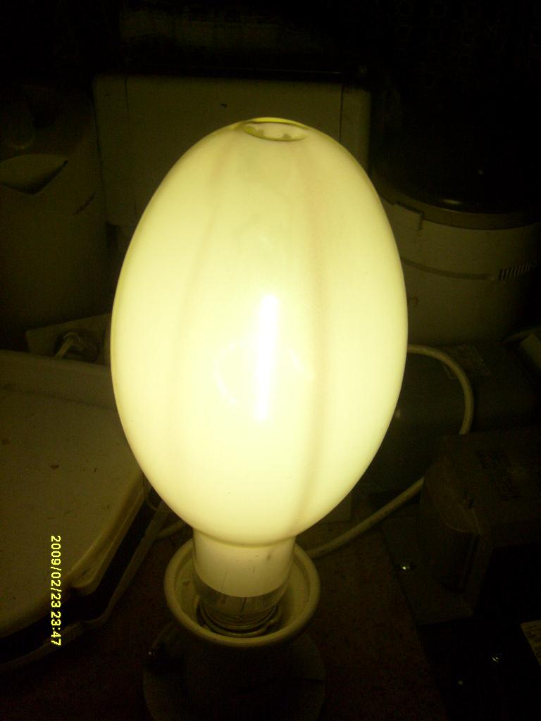 S6300192.JPG