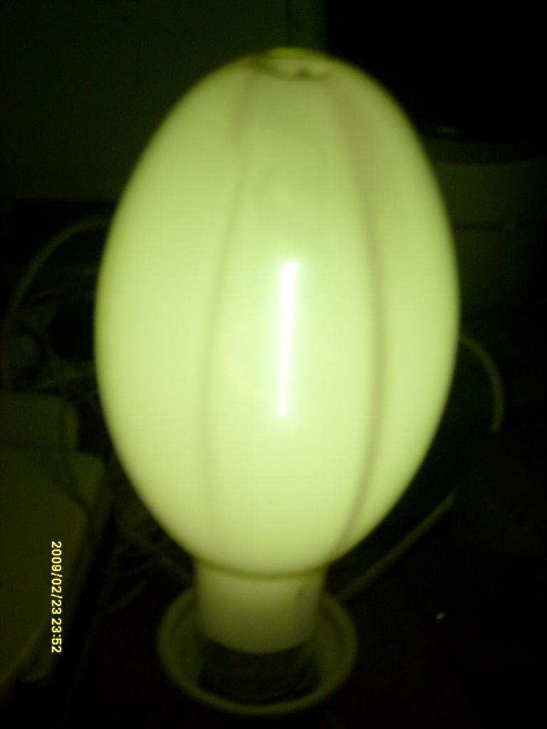S6300196.JPG