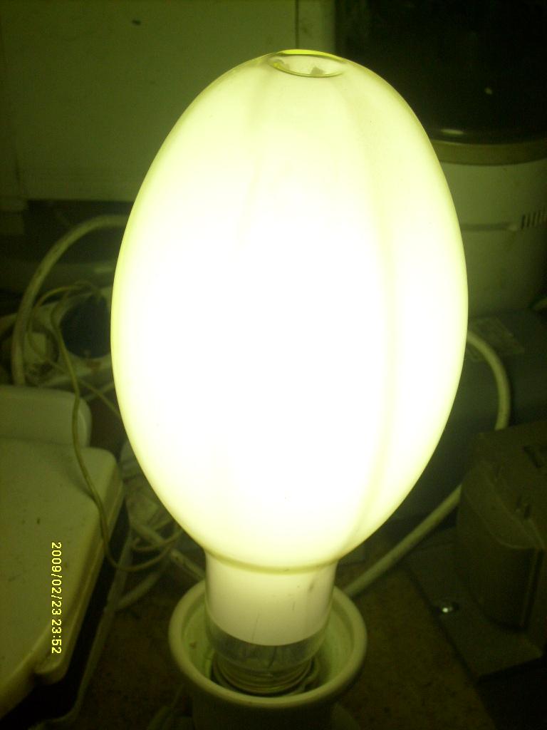 S6300195.JPG