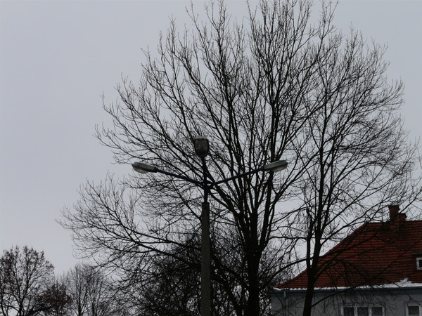 P1050609.JPG