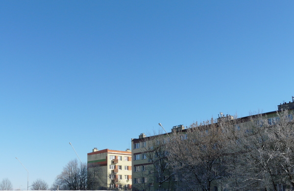 P1050667.JPG