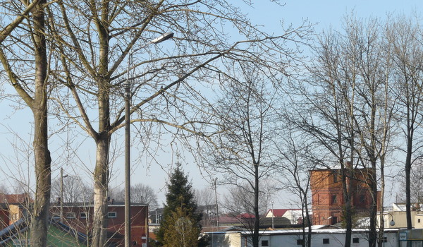 P1060072.JPG