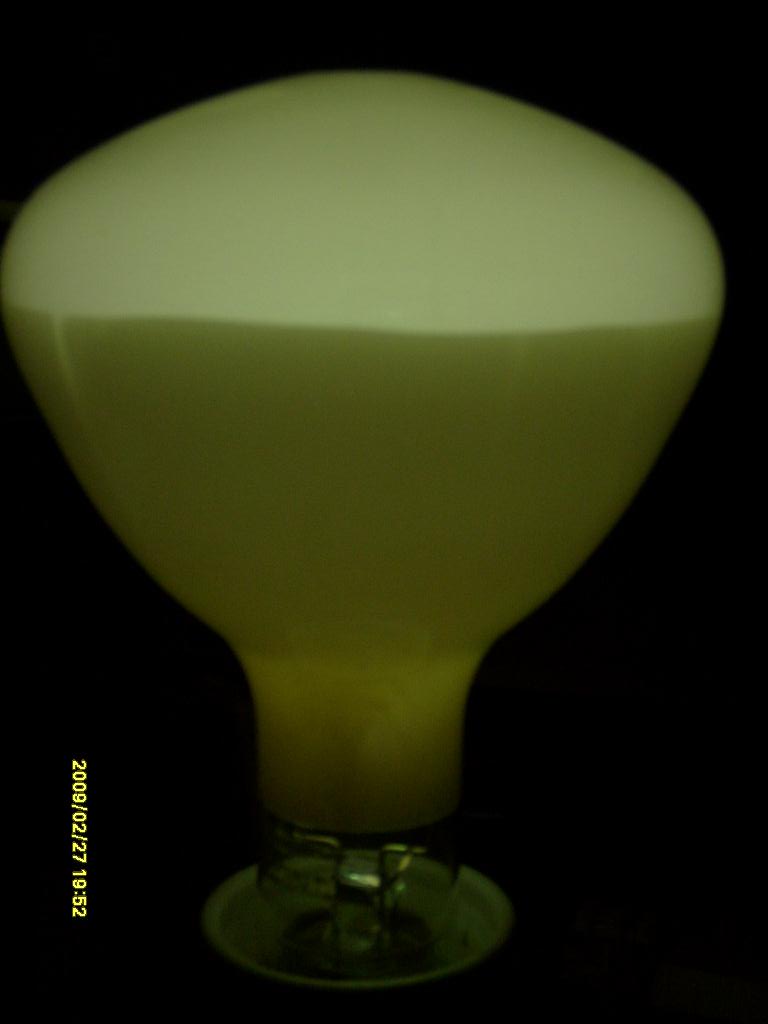 S6300171.JPG