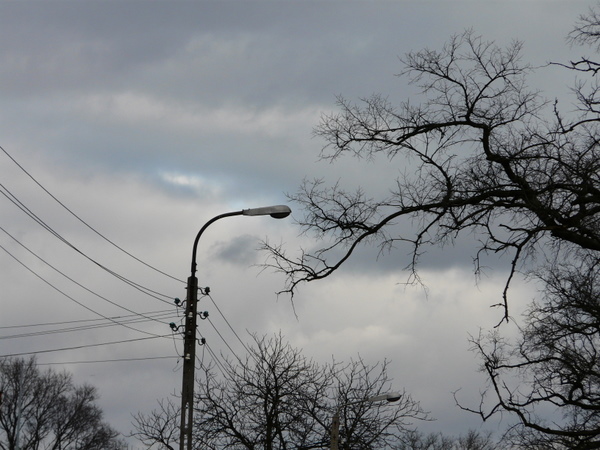 P1060261.JPG
