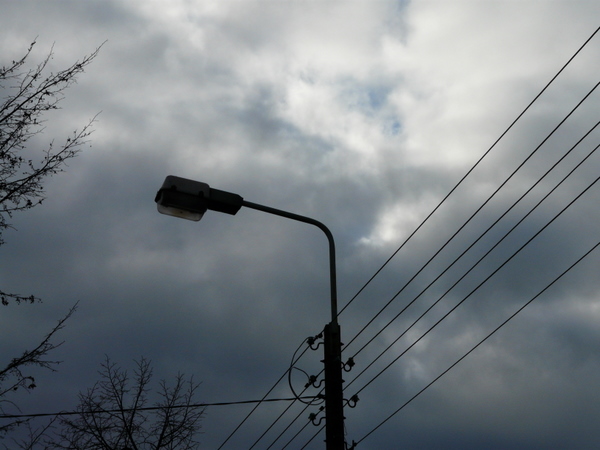 P1060279.JPG